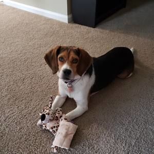 Meet your Posher, Tammy